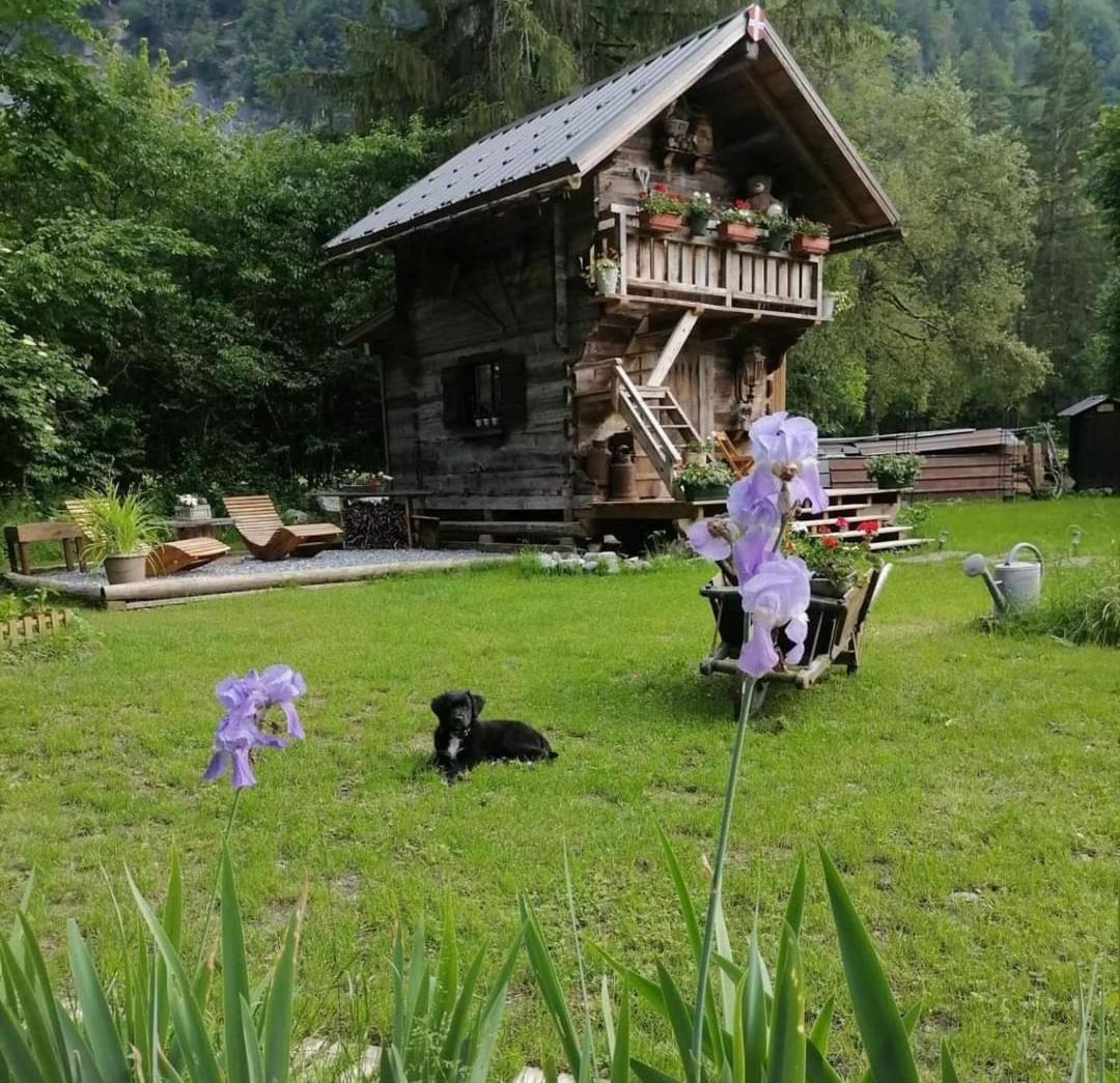 Amour & Chocolat Sixt-Fer-a-Cheval Экстерьер фото
